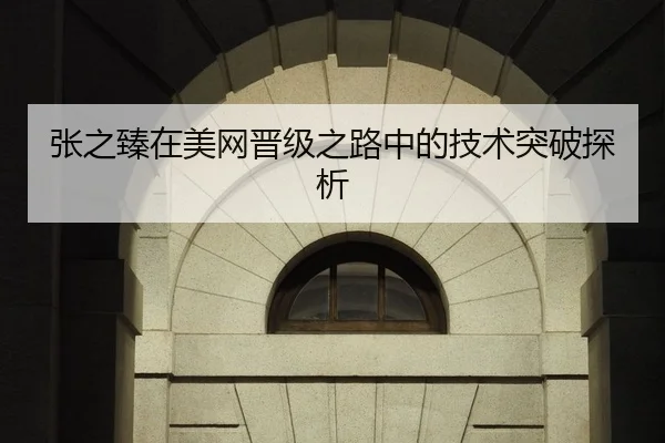 张之臻在美网晋级之路中的技术突破探析