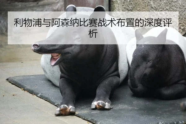 利物浦与阿森纳比赛战术布置的深度评析