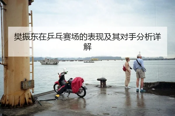樊振东在乒乓赛场的表现及其对手分析详解